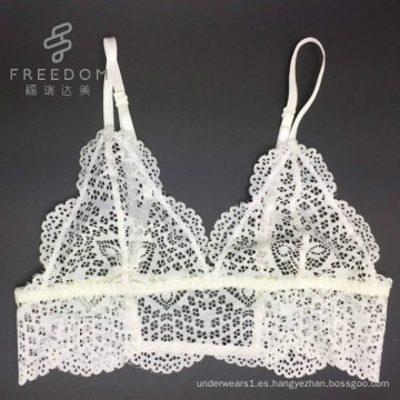 Fábrica de sujetadores de China al por mayor y sujetador transparente sexy de línea larga personalizado para mujer, encaje bralette sexy, ropa interior de mujer sexy caliente